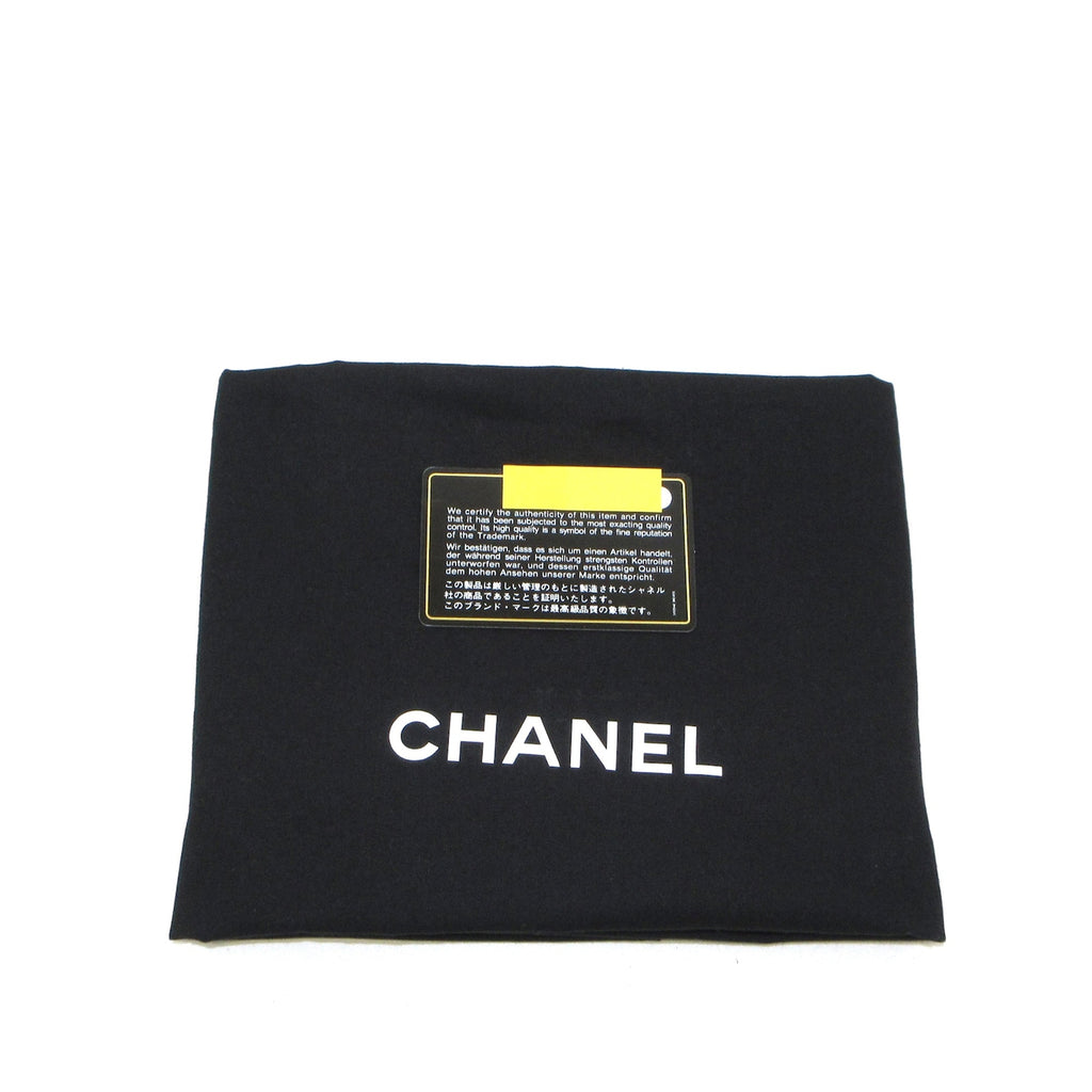 CHANEL Large Coco Neige Shopping Tote Satchel