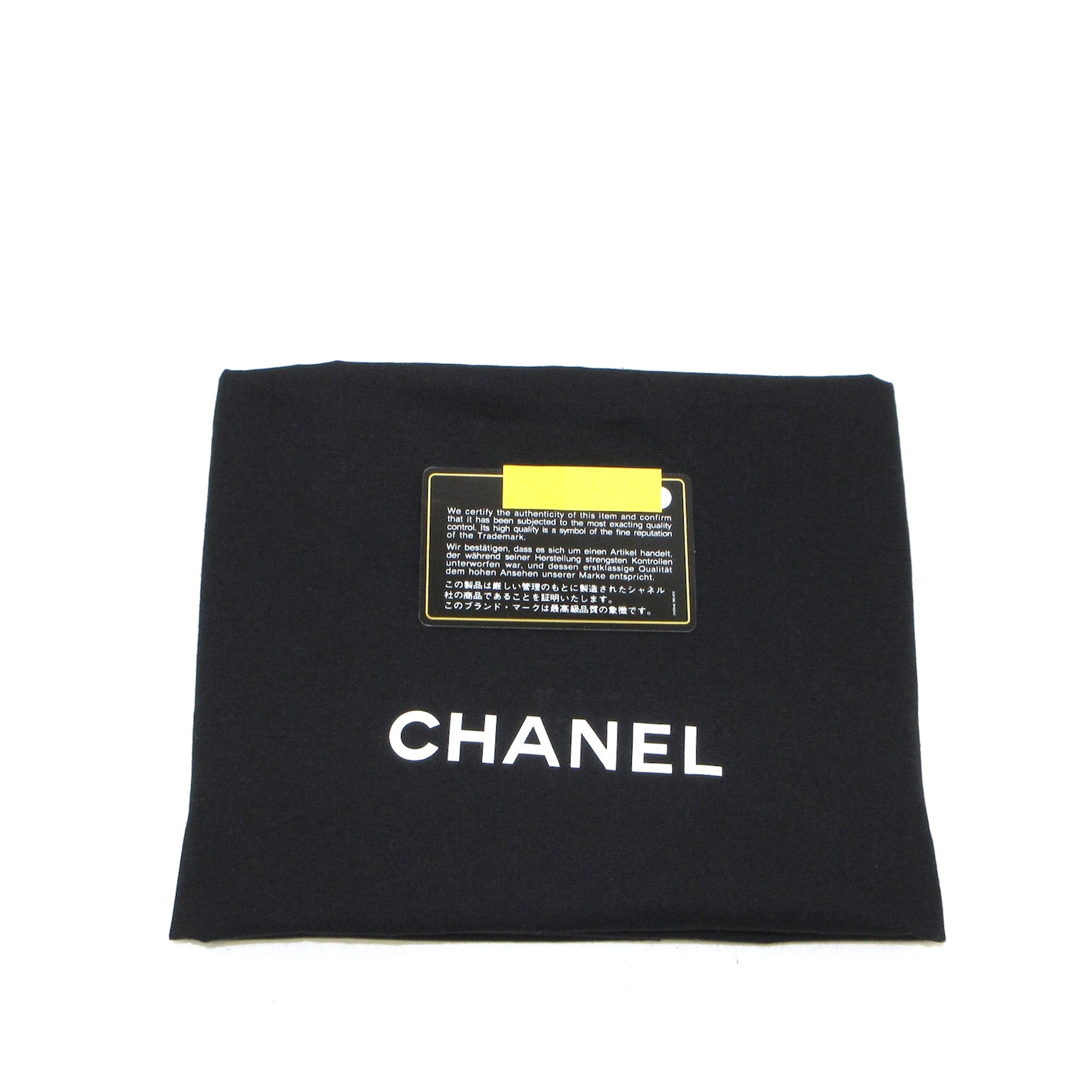 CHANEL Large Coco Neige Shopping Tote Satchel