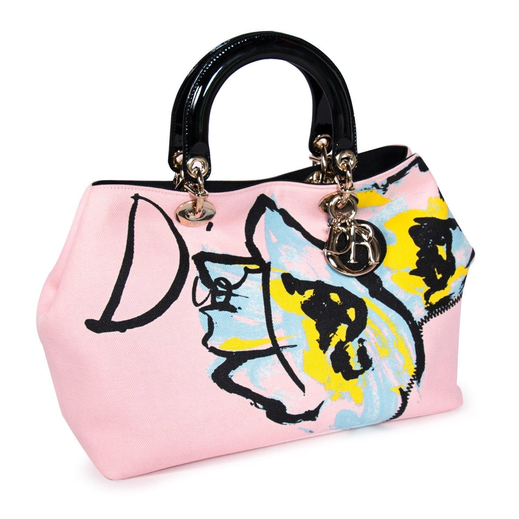 Christian Dior D-Light Canvas Bag