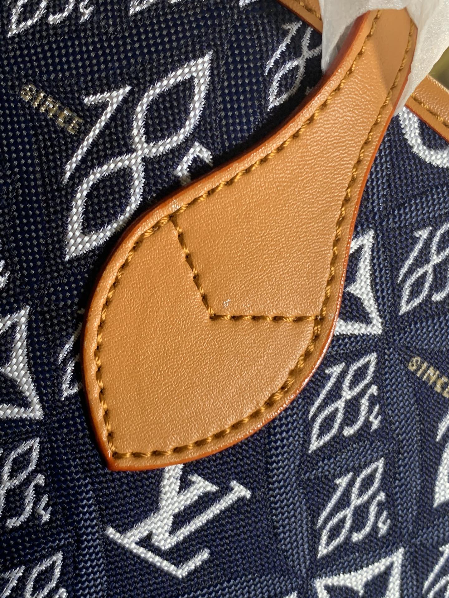 Designer Handbags louis vuitton 100