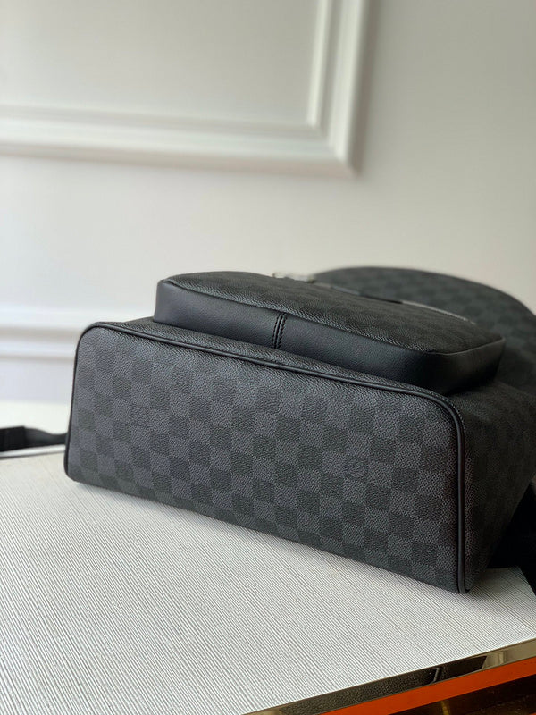 Louis Vuitton Luxury Bags 2817