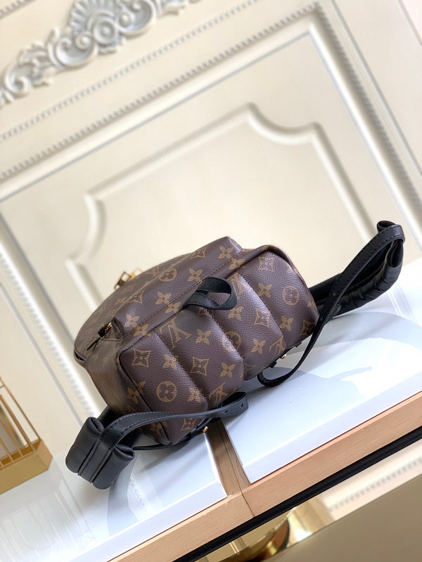 Louis Vuitton Luxury Bags 2824