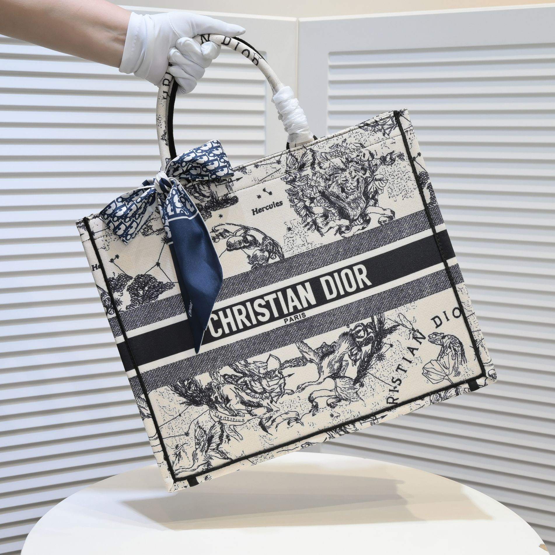 Designer Handbags dior 296