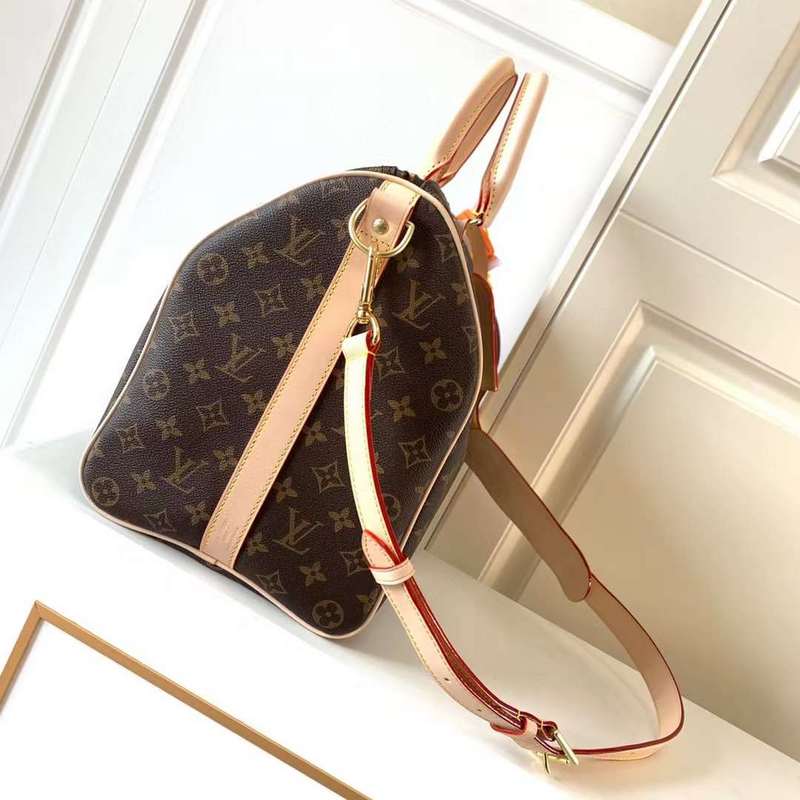 Louis Vuitton Luxury Bags 2831