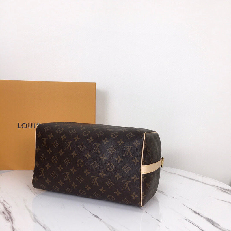 Louis Vuitton Luxury Bags 2657