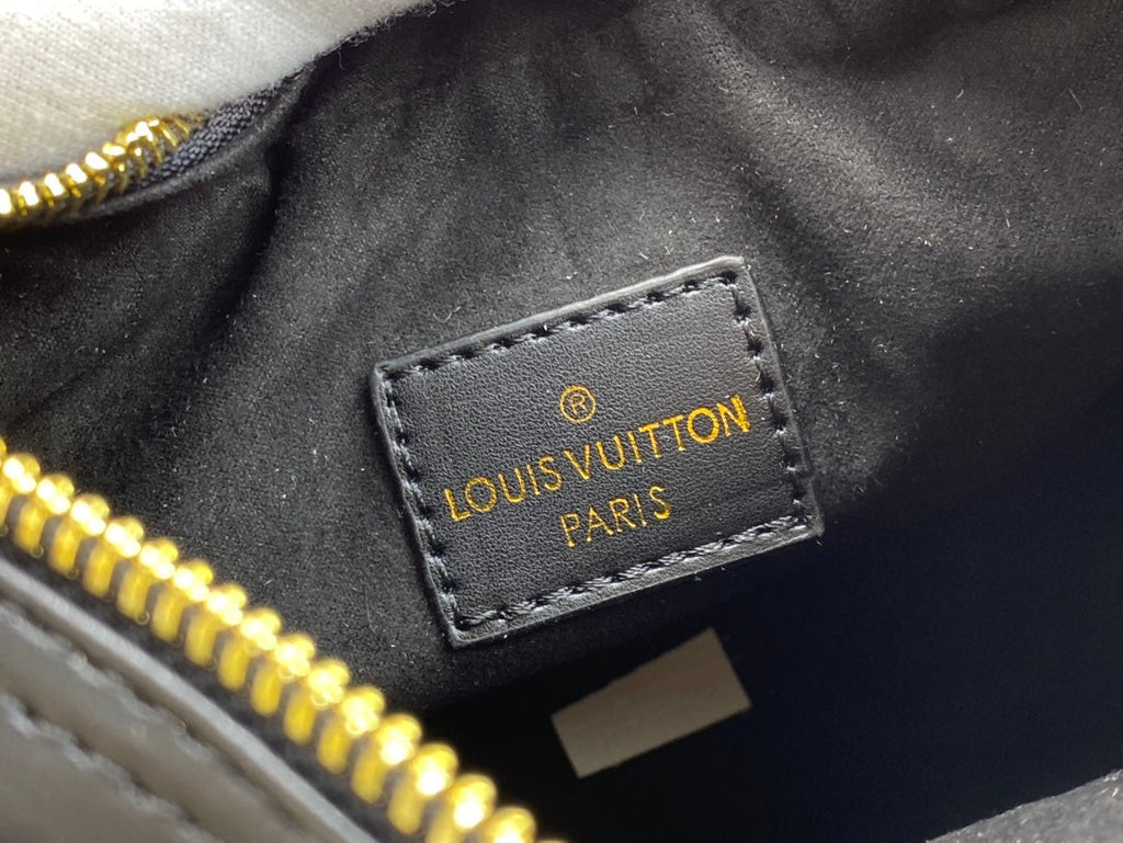 Luxury Bags Louis Vuitton  762