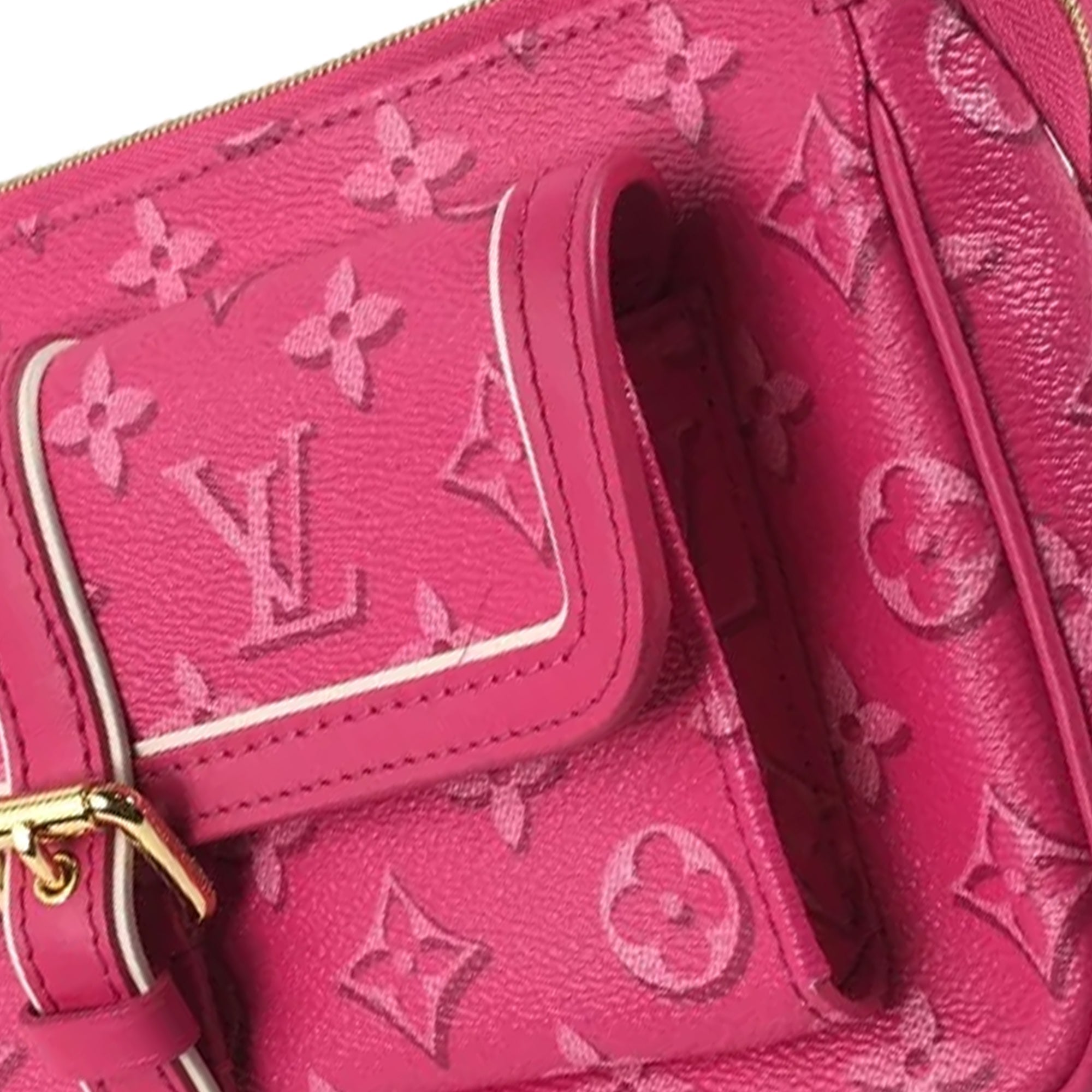 LOUIS VUITTON Fall For You Monogram Maxi Multi Pochette Accessoires Baguette