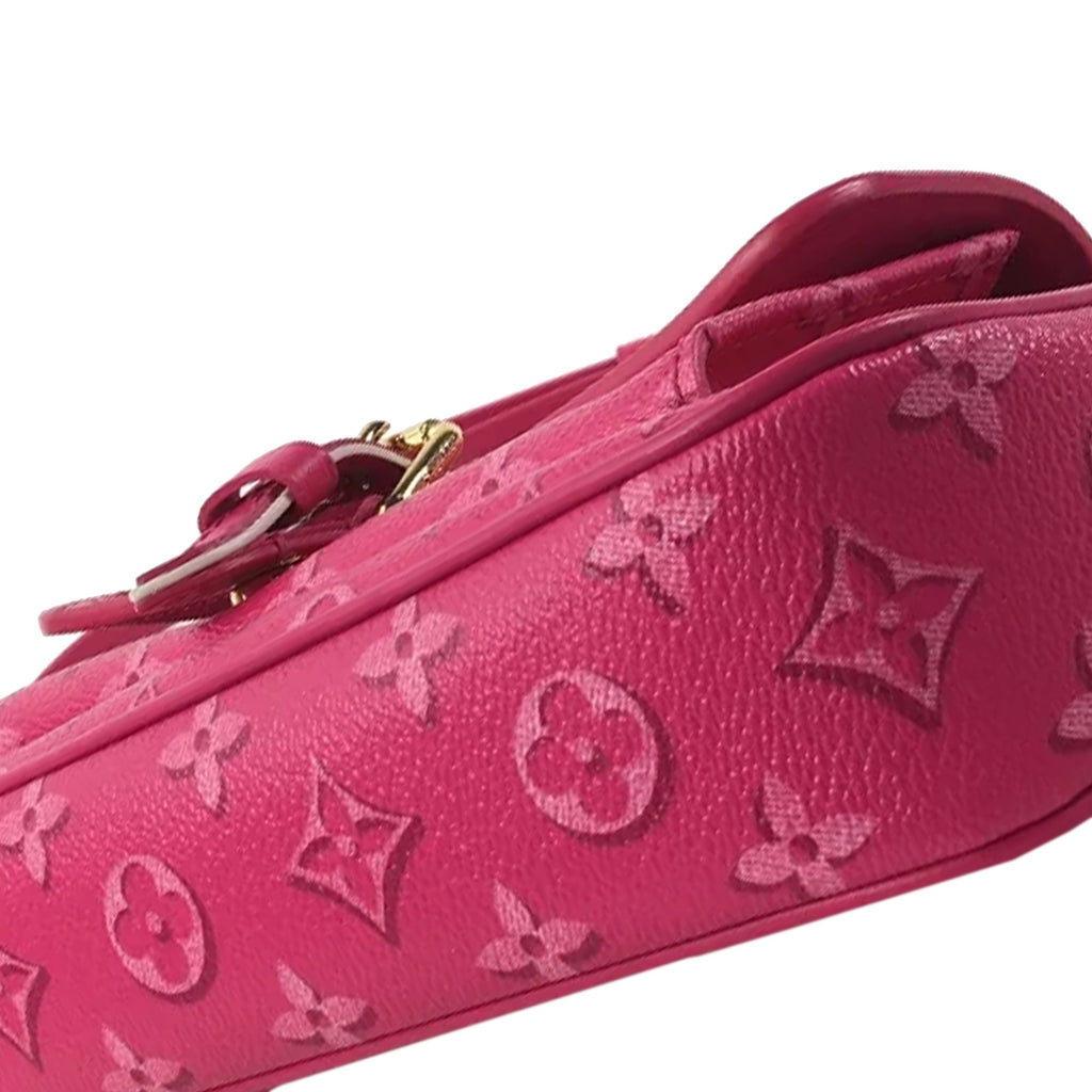 LOUIS VUITTON Fall For You Monogram Maxi Multi Pochette Accessoires Baguette