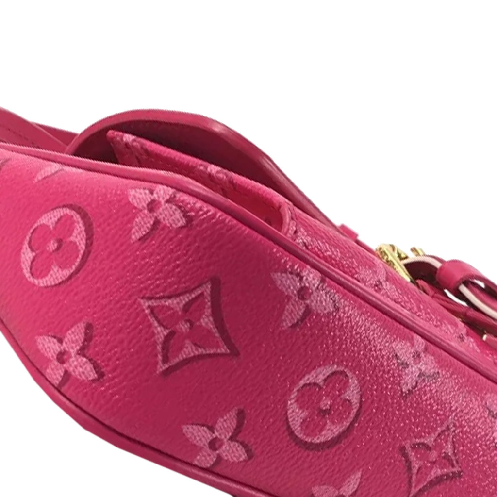 LOUIS VUITTON Fall For You Monogram Maxi Multi Pochette Accessoires Baguette