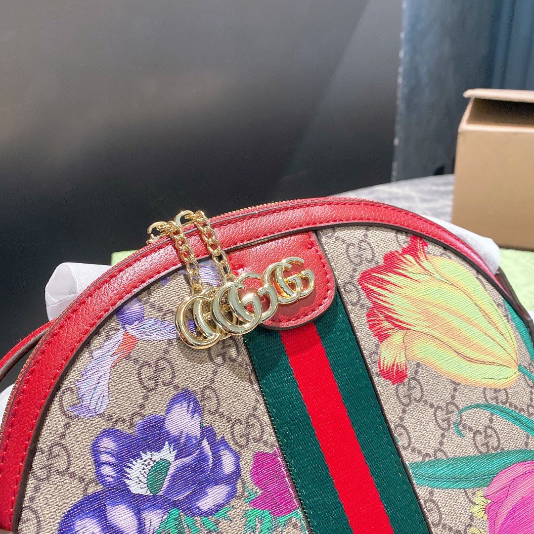 Designer Handbags Gucci 049