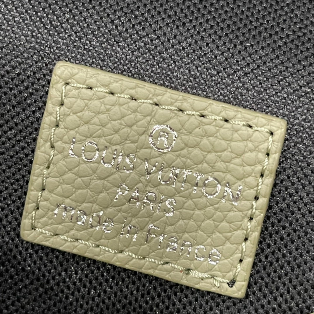 Luxury Bags Louis Vuitton  866