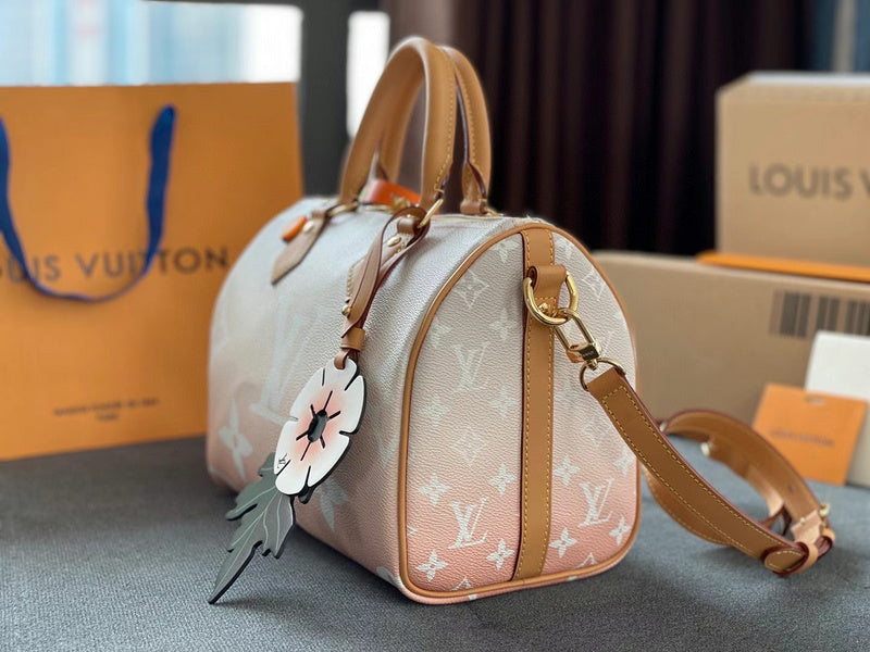 Louis Vuitton Luxury Bags 2523