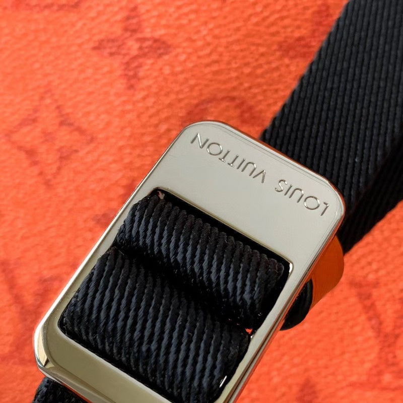 Louis Vuitton Luxury Bags 2576