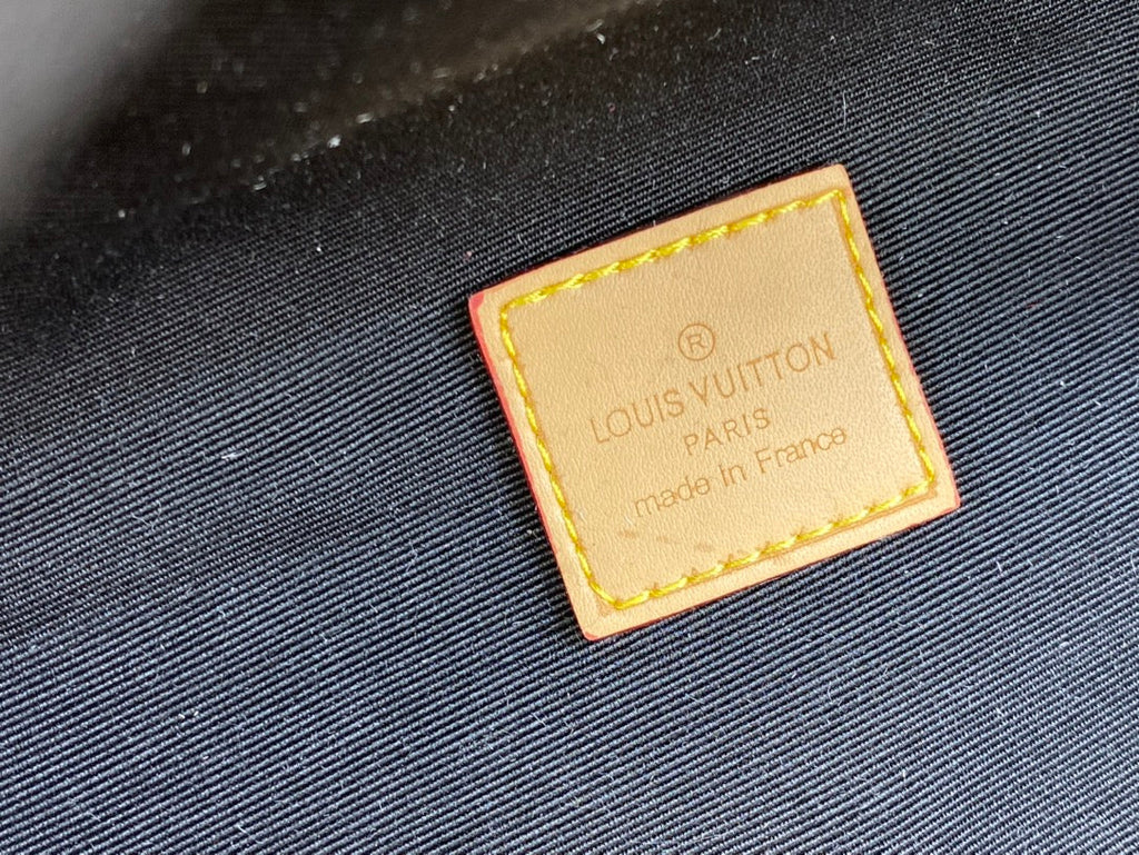 Luxury Bags Louis Vuitton  829
