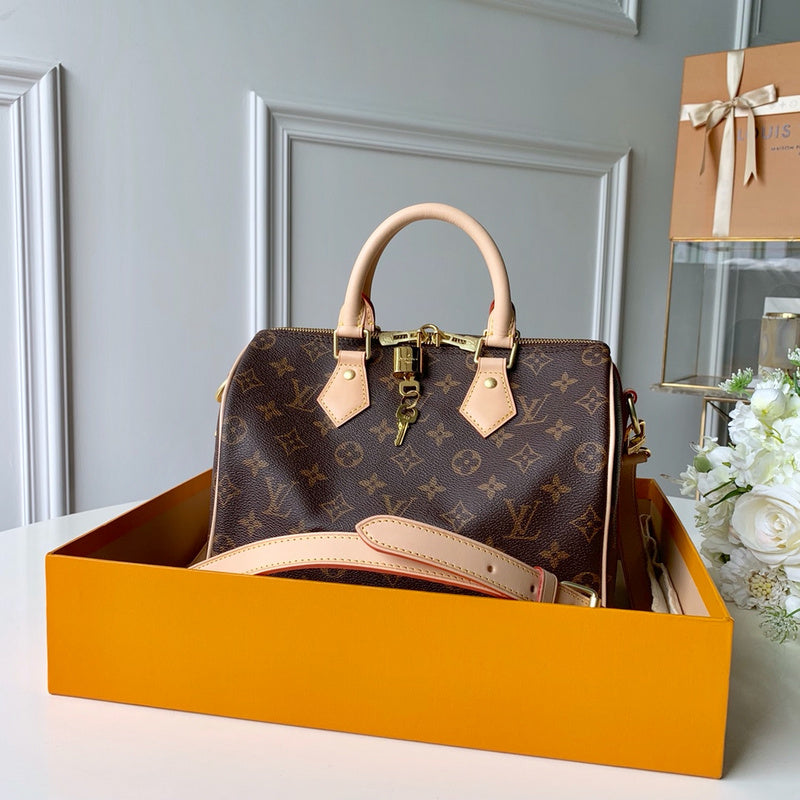 Louis Vuitton Luxury Bags 2663