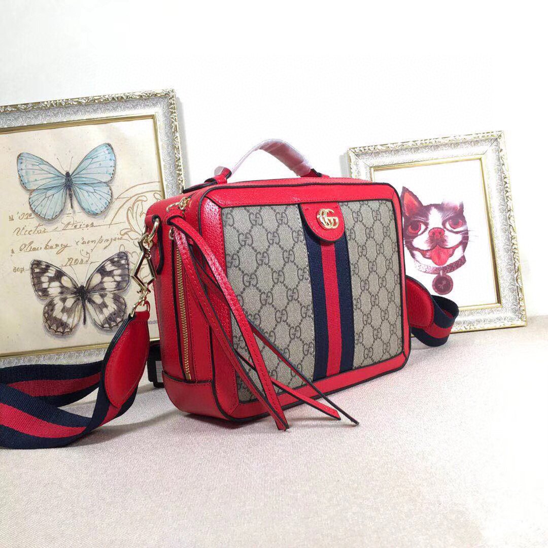 Designer Handbags Gucci 036