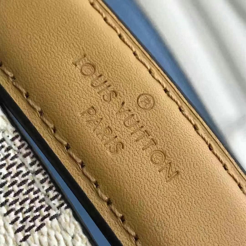 Louis Vuitton Luxury Bags 2453