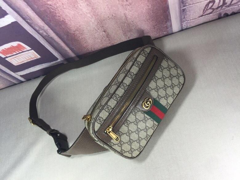 Designer Handbags Gucci 085