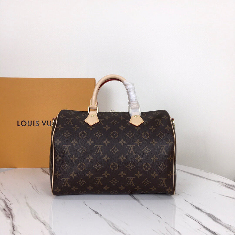 Louis Vuitton Luxury Bags 2657