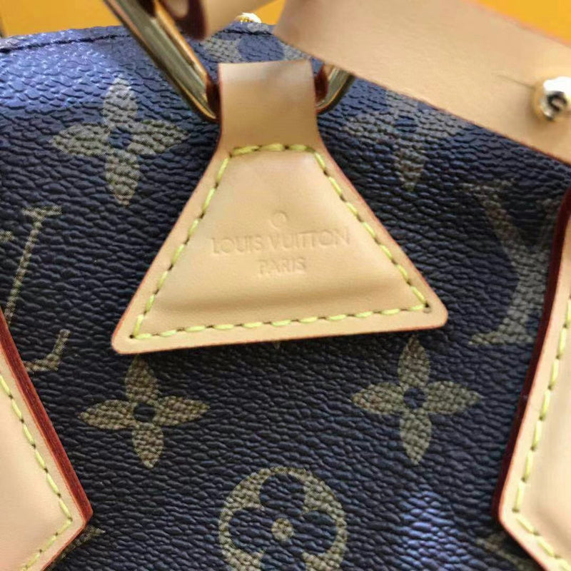 Louis Vuitton Luxury Bags 2551