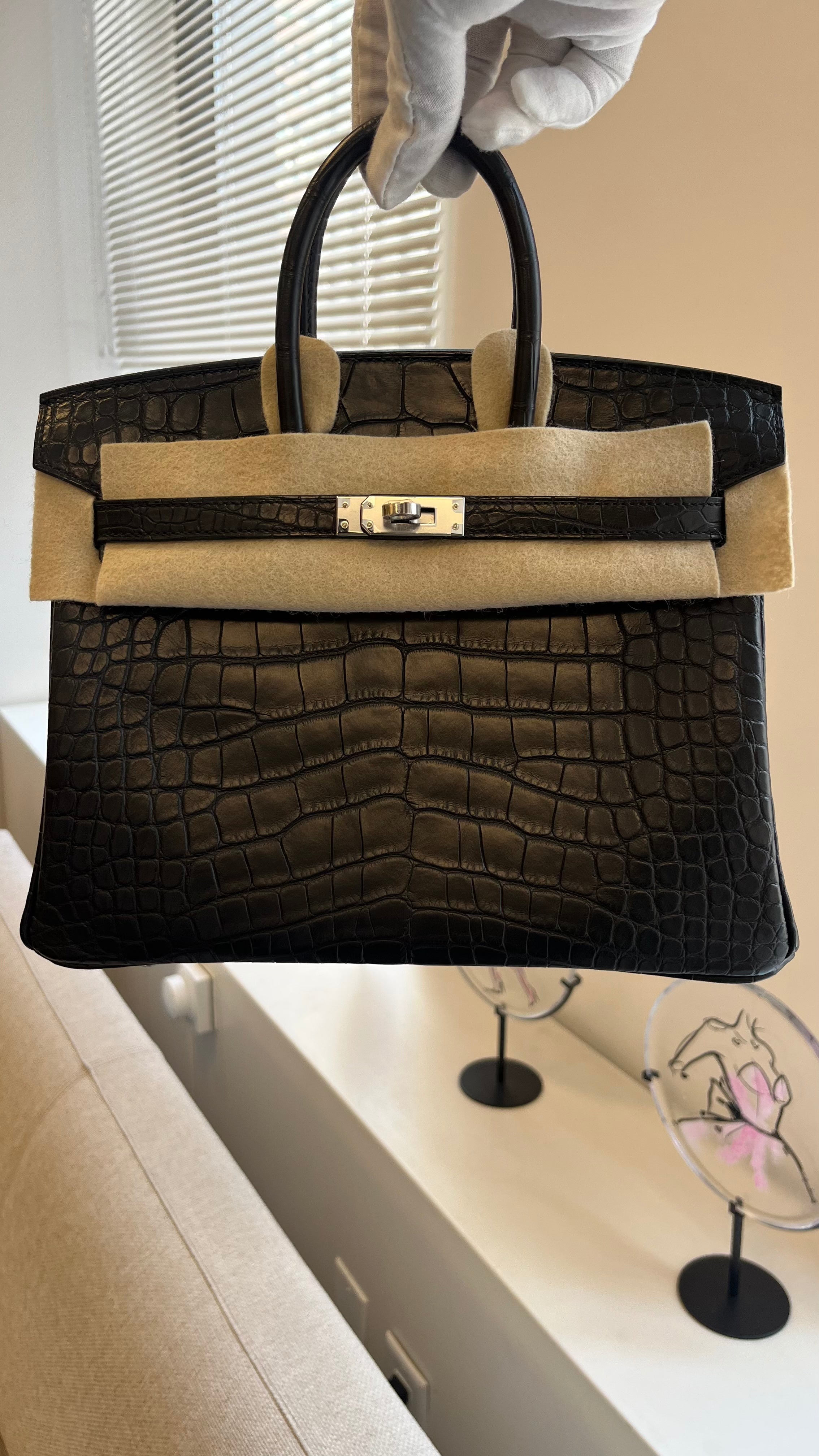 Hermes Birkin 25cm Matte Alligator PHW