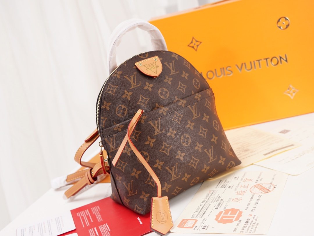 Designer Handbags Louis Vuitton 003
