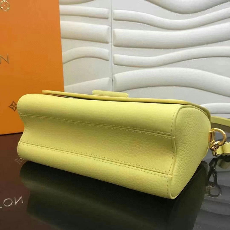 Louis Vuitton Luxury Bags 2481