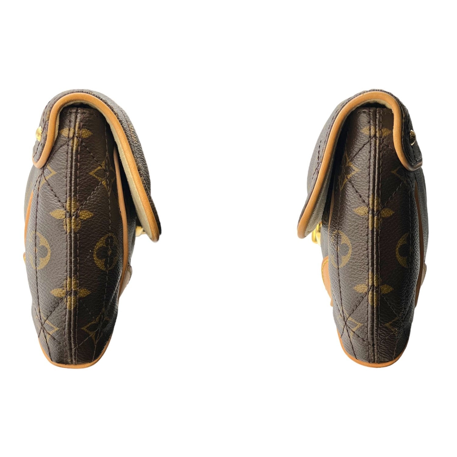 Louis Vuitton Monogram Etoile Clutch
