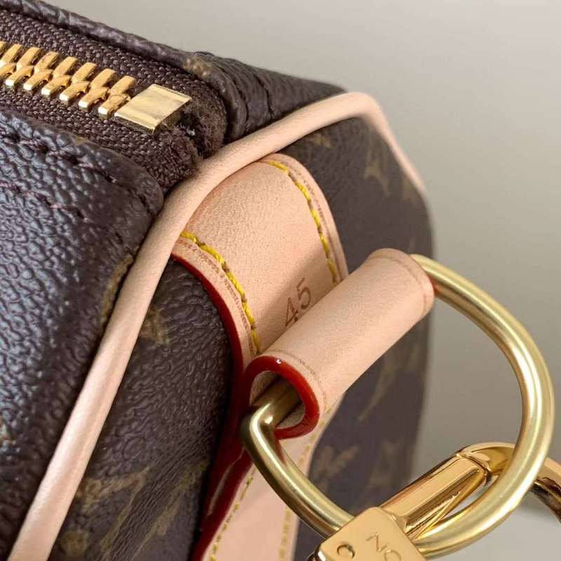 Louis Vuitton Luxury Bags 2831