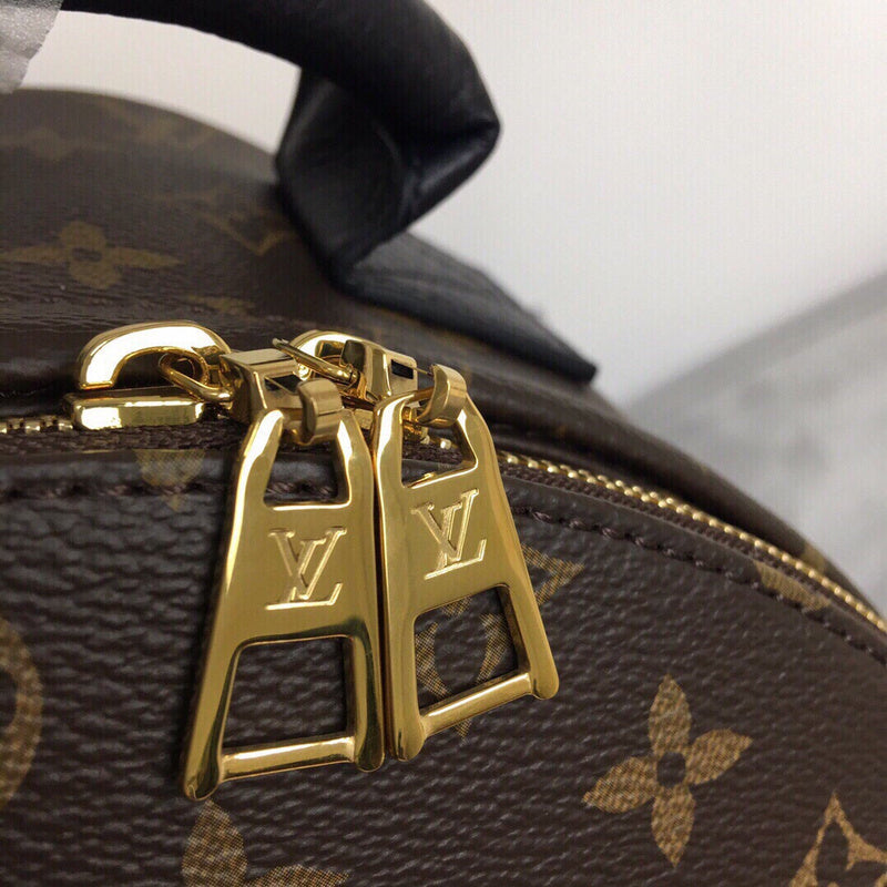 Louis Vuitton Luxury Bags 2820