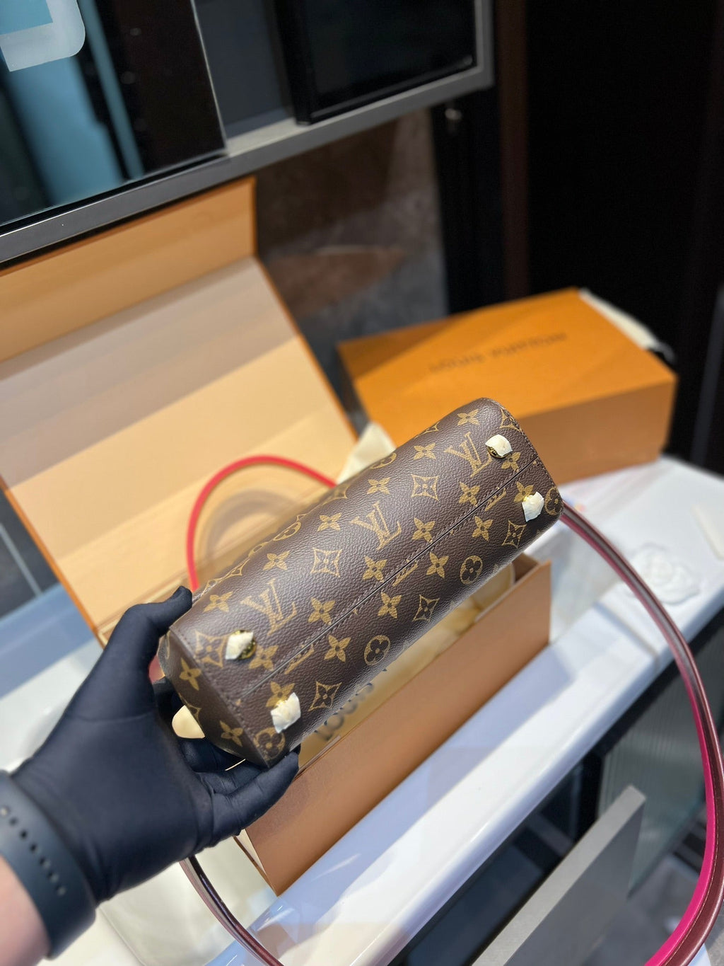 Luxury Bags Louis Vuitton  738