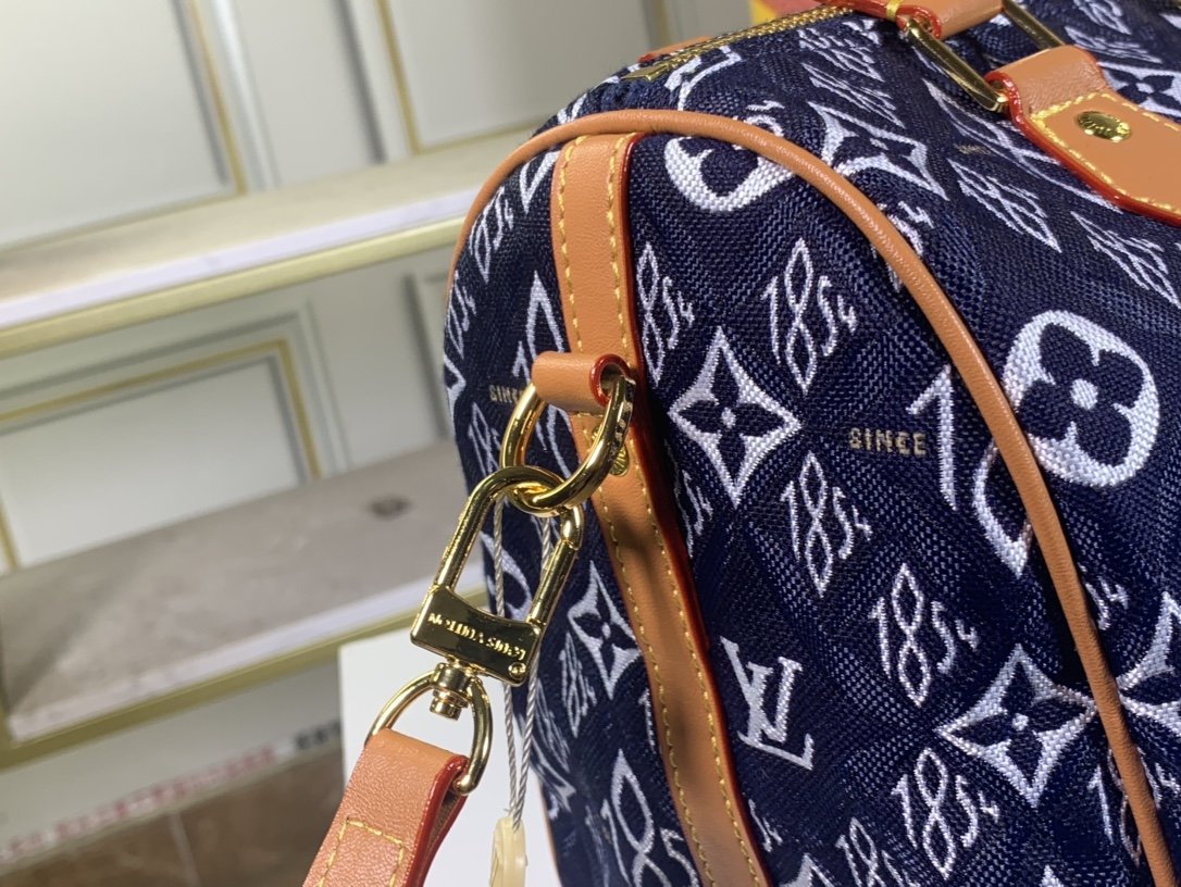 Designer Handbags louis vuitton 110