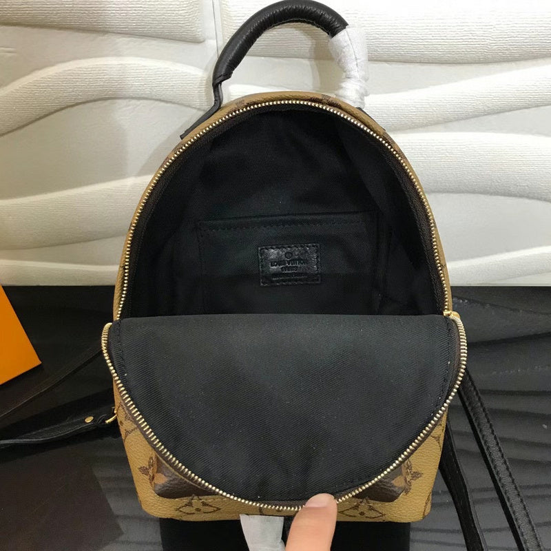 Louis Vuitton Luxury Bags 2558