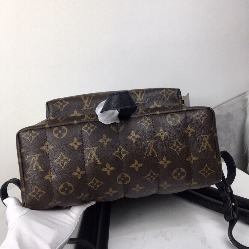 Louis Vuitton Luxury Bags 2820