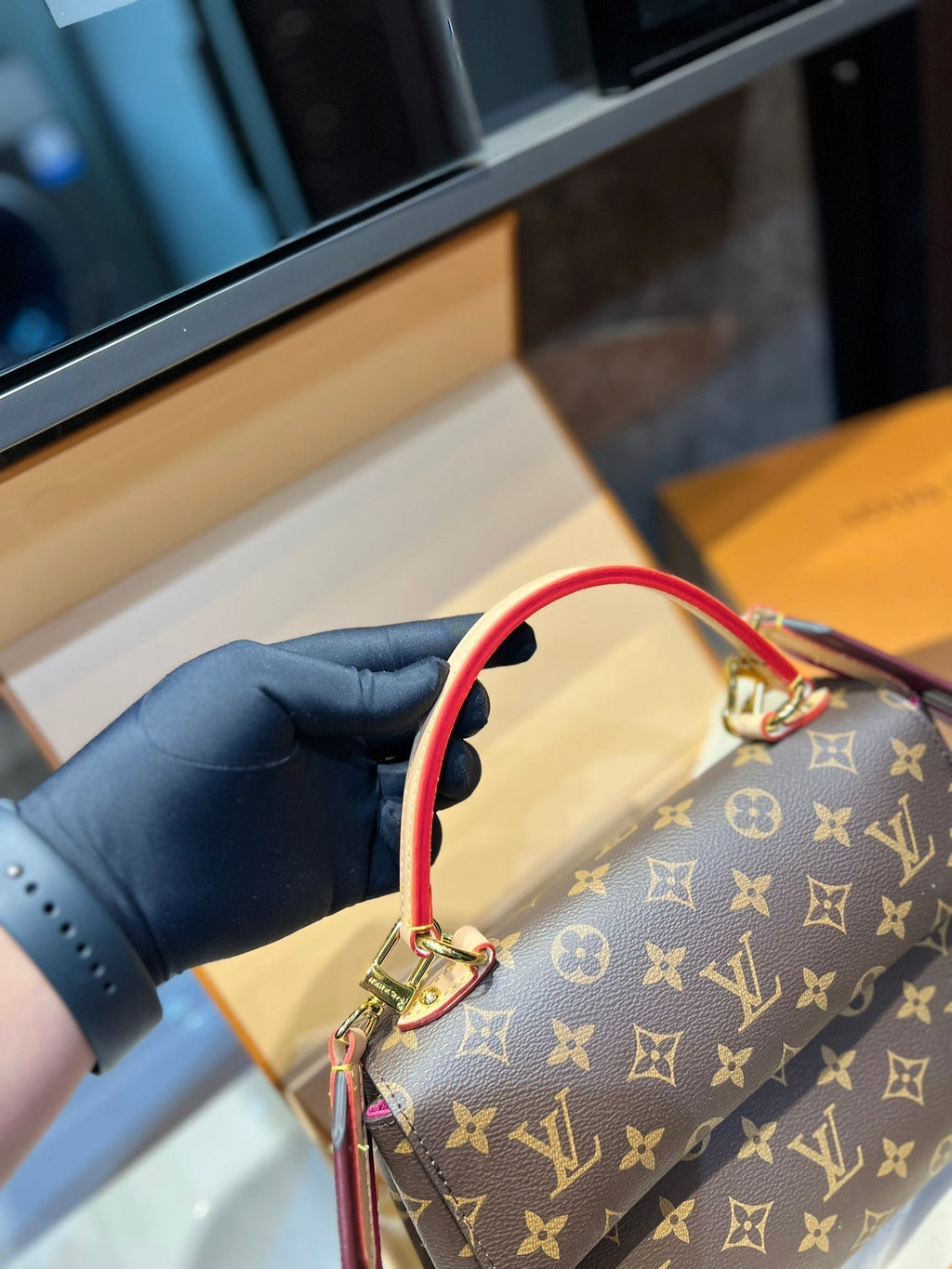 Luxury Bags Louis Vuitton  738