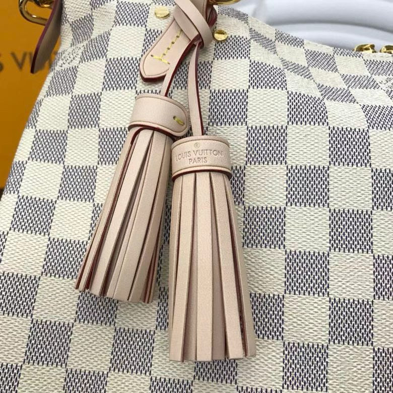 Louis Vuitton Luxury Bags 2461