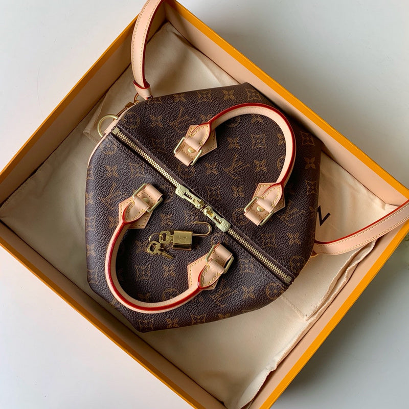 Louis Vuitton Luxury Bags 2663