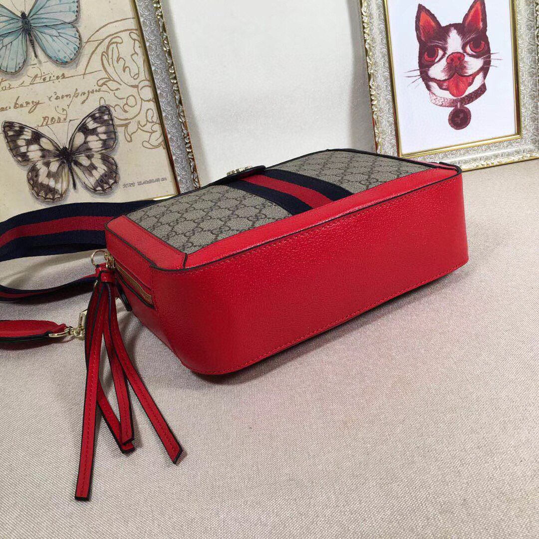 Designer Handbags Gucci 036
