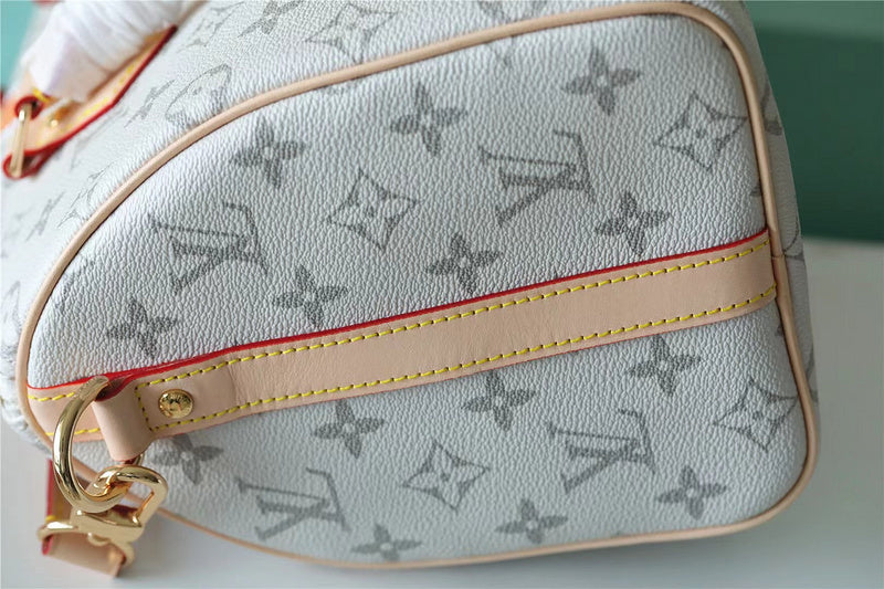 Luxury - Louis Vuitton Bags - 067