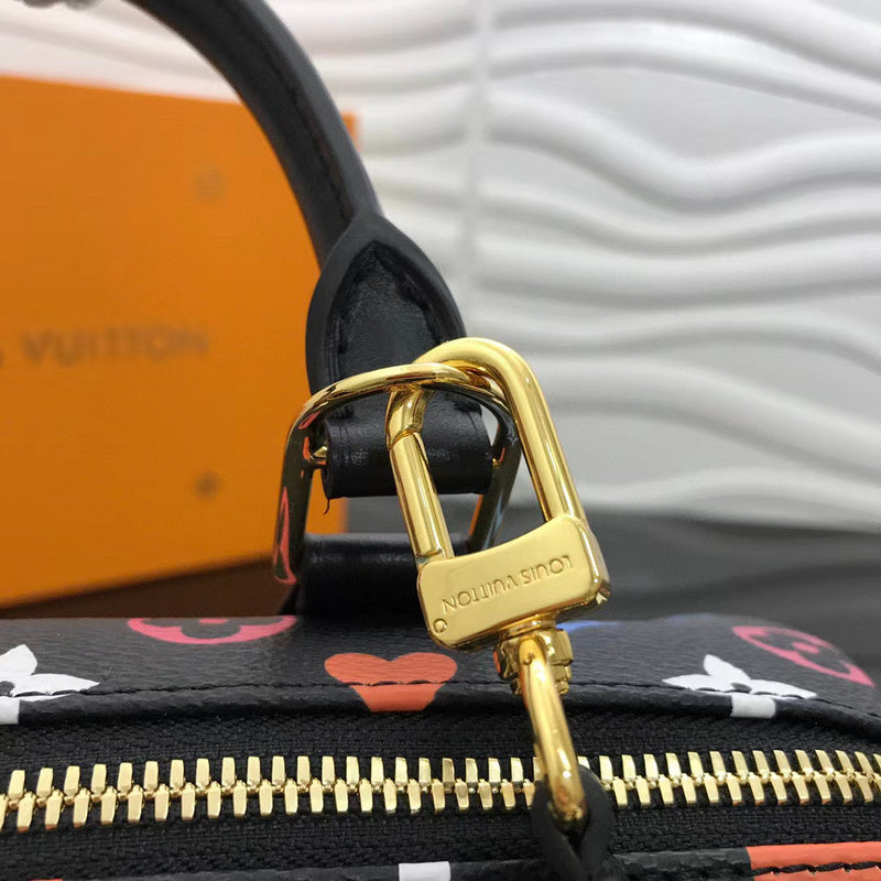 Louis Vuitton Luxury Bags 2495