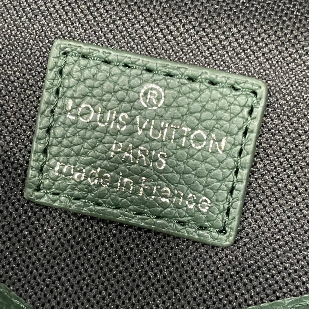 Luxury Bags Louis Vuitton  870