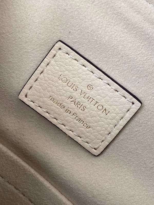 Louis Vuitton Luxury Bags 2527