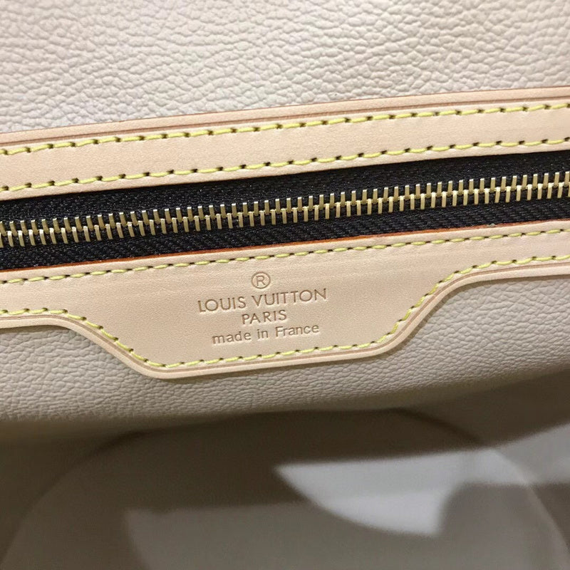 Louis Vuitton Luxury Bags 2569