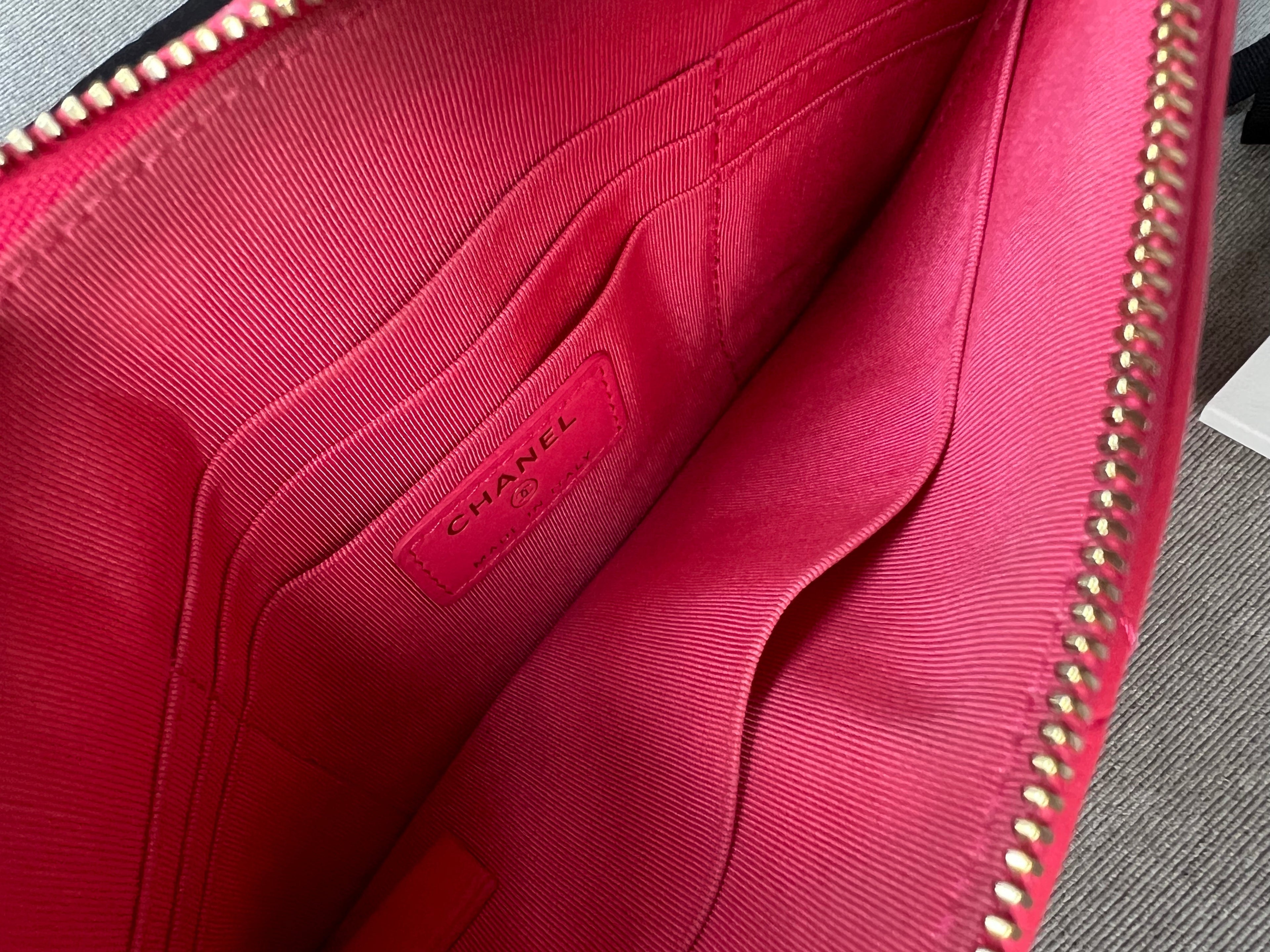 Chanel 19 Pink Small Ocase