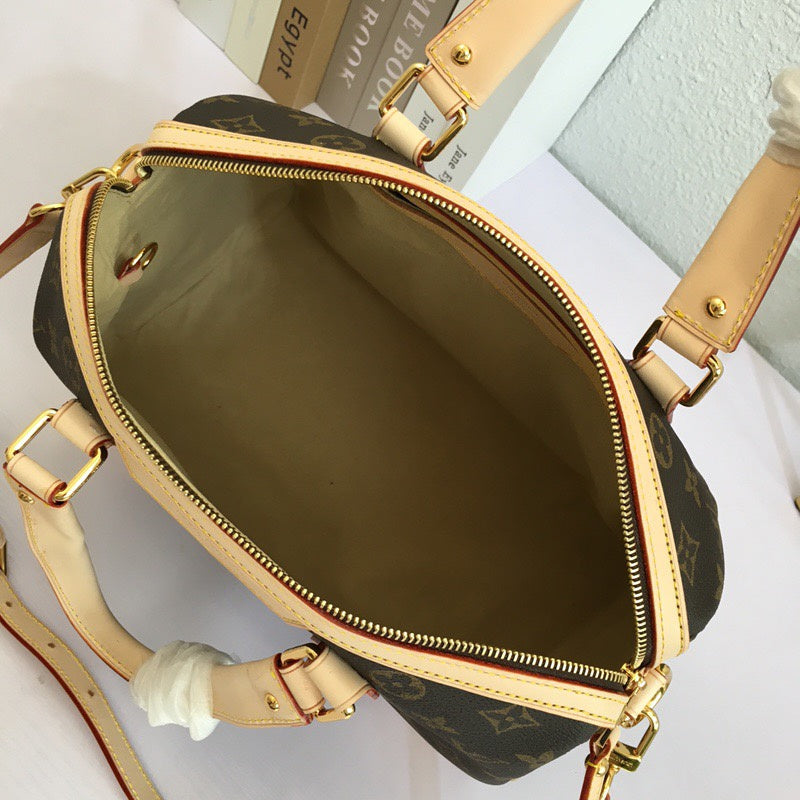 Louis Vuitton Luxury Bags 2014