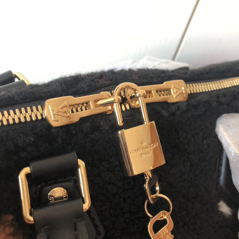 Louis Vuitton Luxury Bags 2659