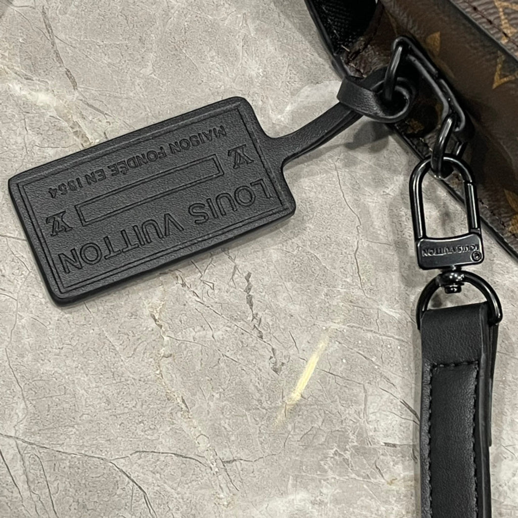 Luxury Bags Louis Vuitton  869
