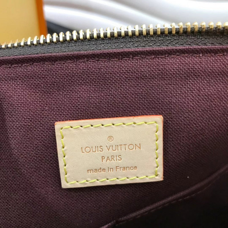 Louis Vuitton Luxury Bags 2561