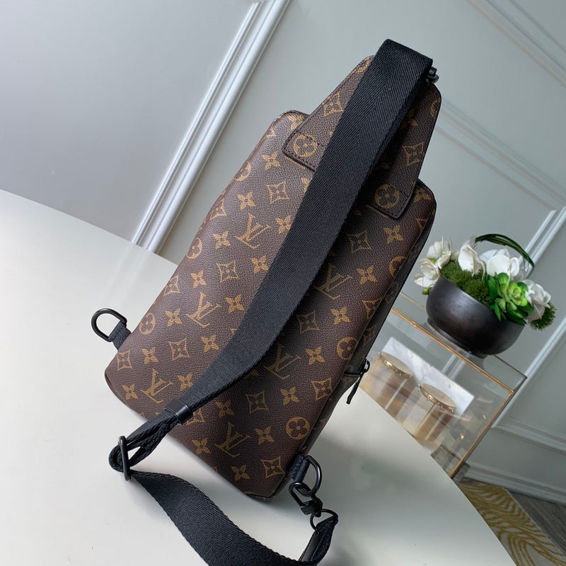 Louis Vuitton Luxury Bags 2716