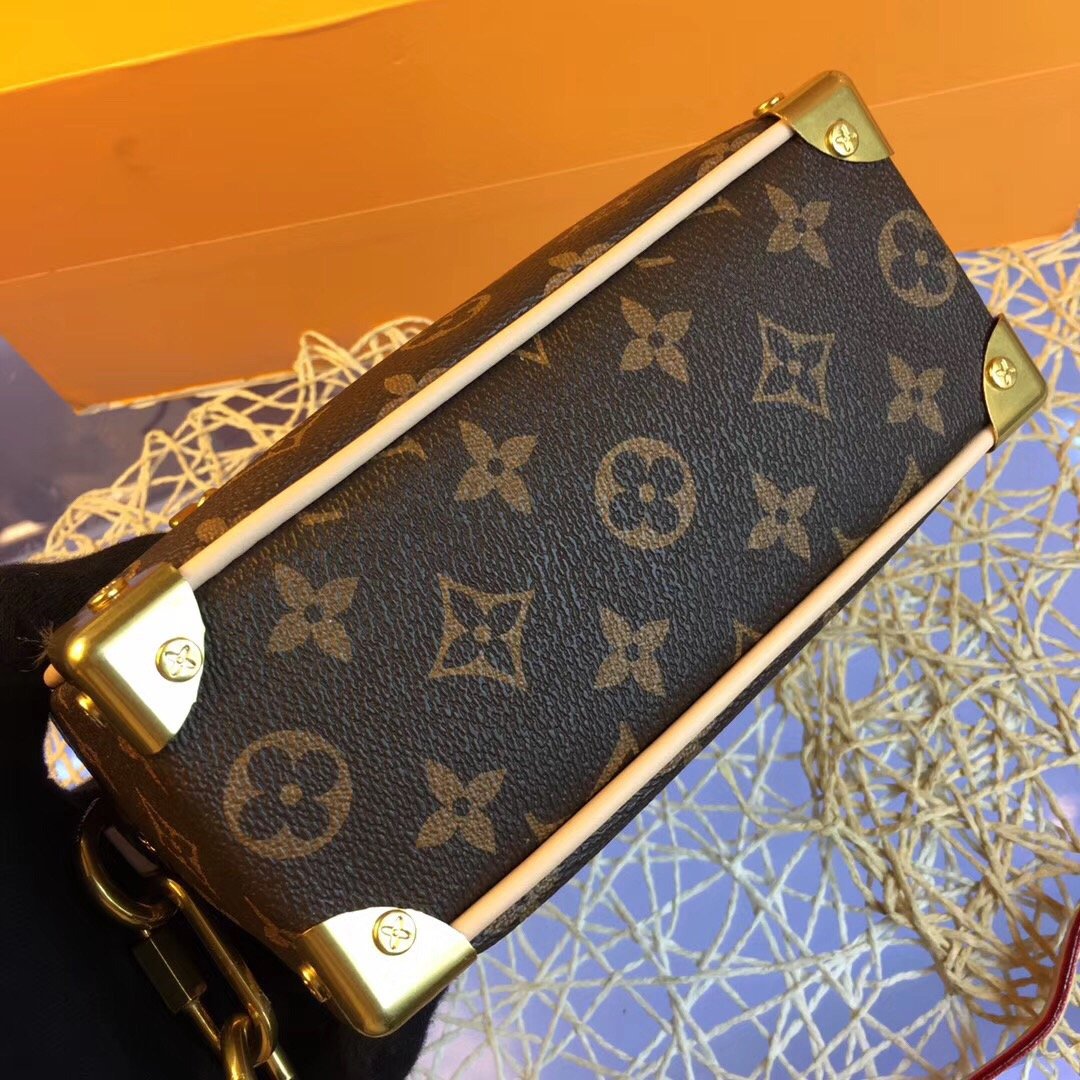 Designer Handbags louis vuitton 198